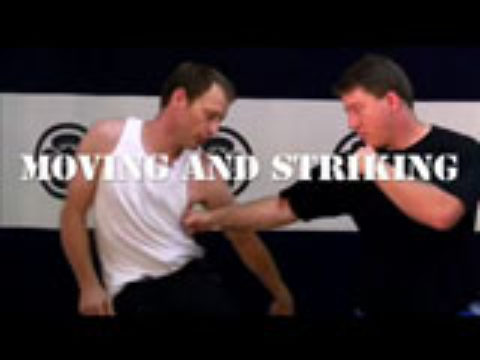 Systema Volume 1: Moving and Striking